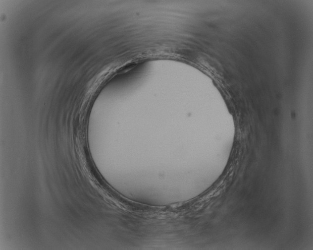 X0000067950193200605041834