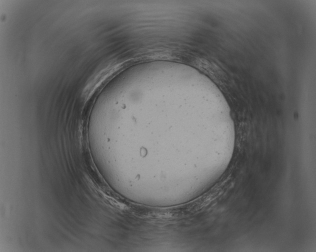 X0000067950194200605041834