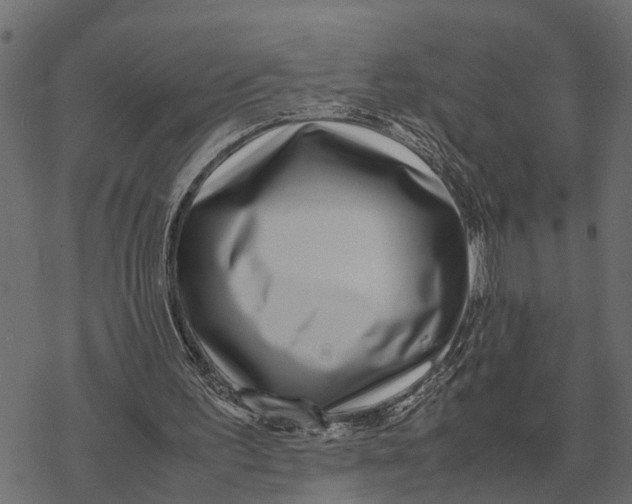 X0000067950195200605041834