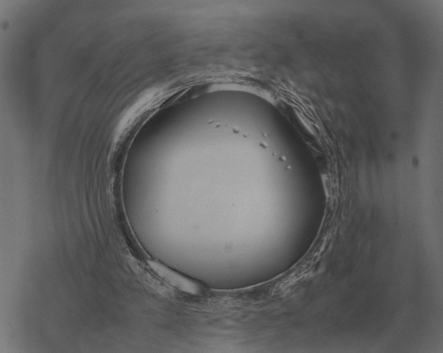 X0000067950197200605041834