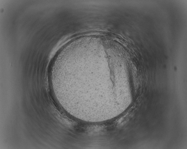 X0000067950198200605041834