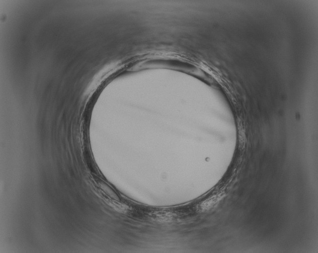 X0000067950199200605041834