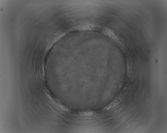 X0000067950202200605041834