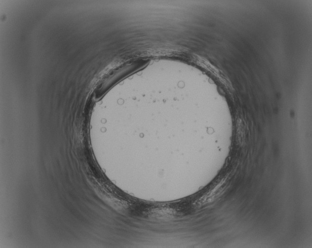 X0000067950203200605041834