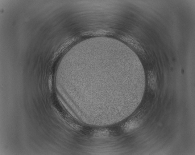 X0000067950206200605041834