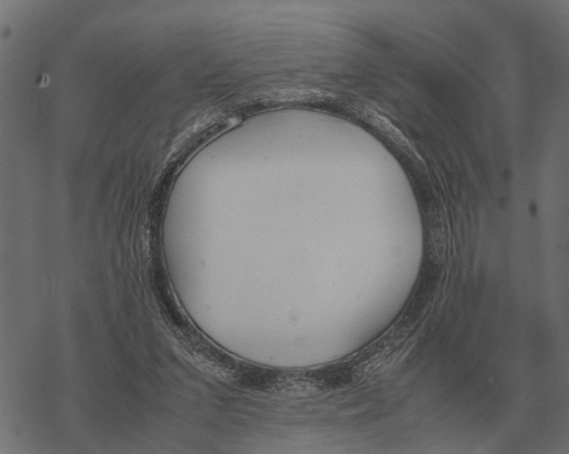 X0000067950207200605041834