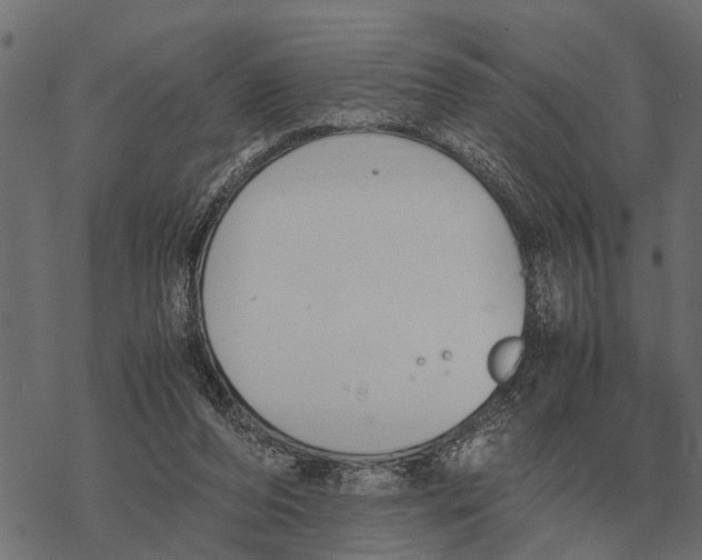 X0000067950208200605041834