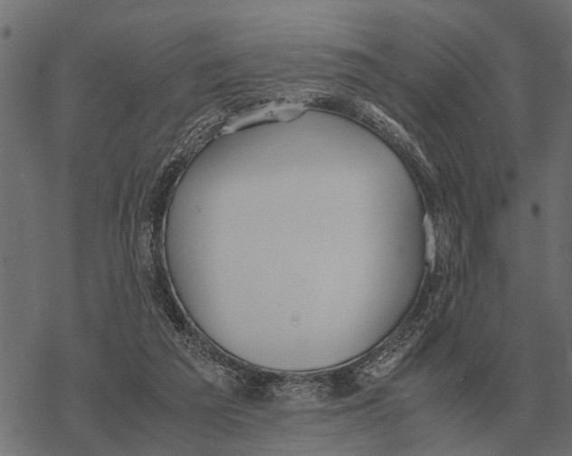 X0000067950209200605041834