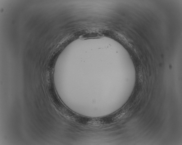 X0000067950211200605041834