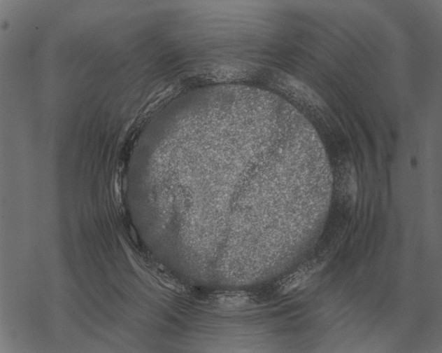 X0000067950214200605041834