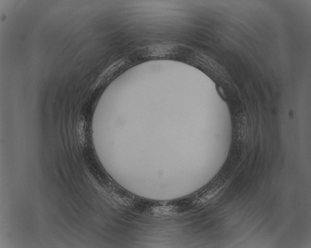 X0000067950216200605041834