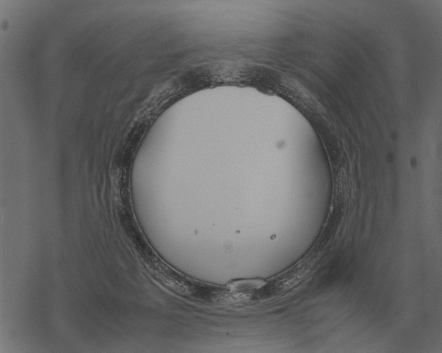 X0000067950217200605041834