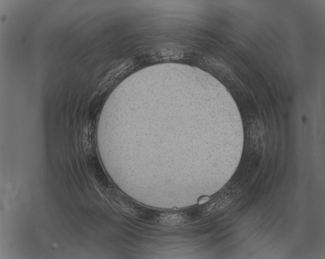 X0000067950218200605041834