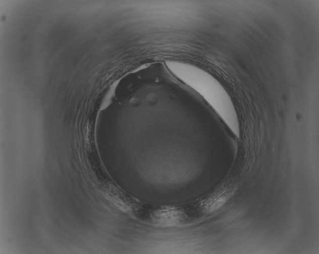 X0000067950219200605041834