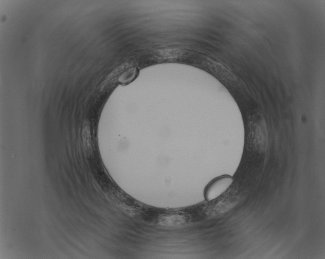 X0000067950220200605041834