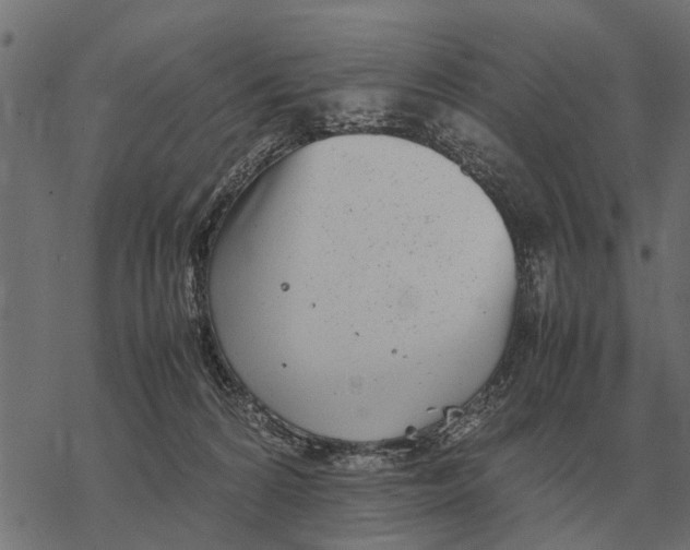 X0000067950224200605041834