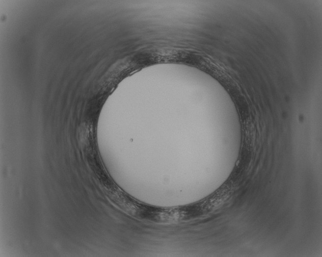 X0000067950225200605041834