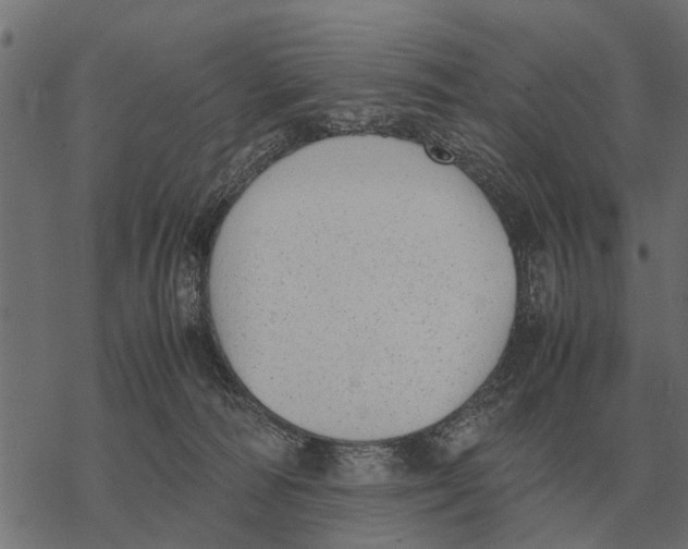 X0000067950226200605041834