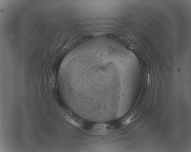 X0000067950227200605041834