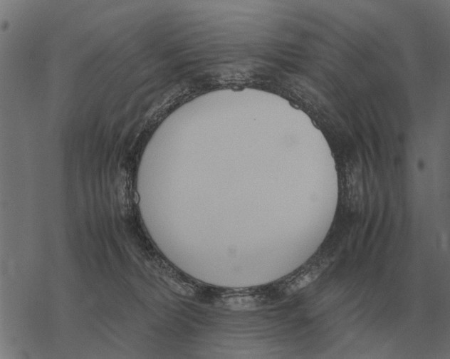 X0000067950228200605041834