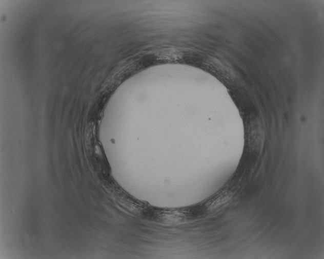 X0000067950229200605041834