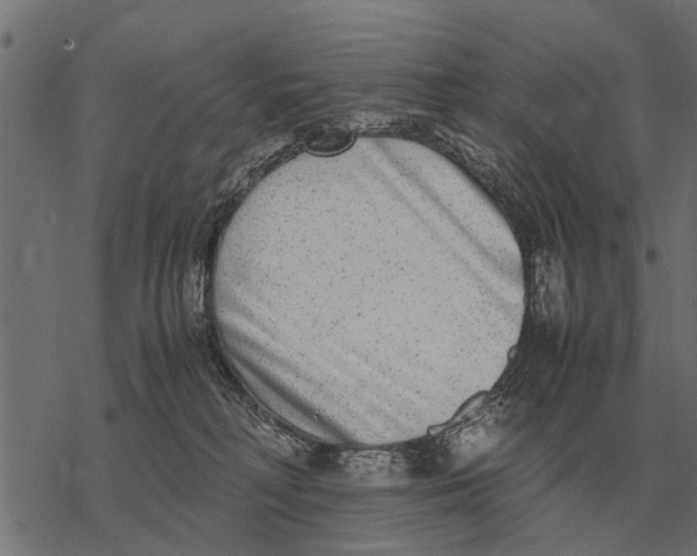 X0000067950230200605041834