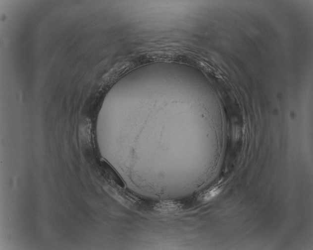 X0000067950231200605041834