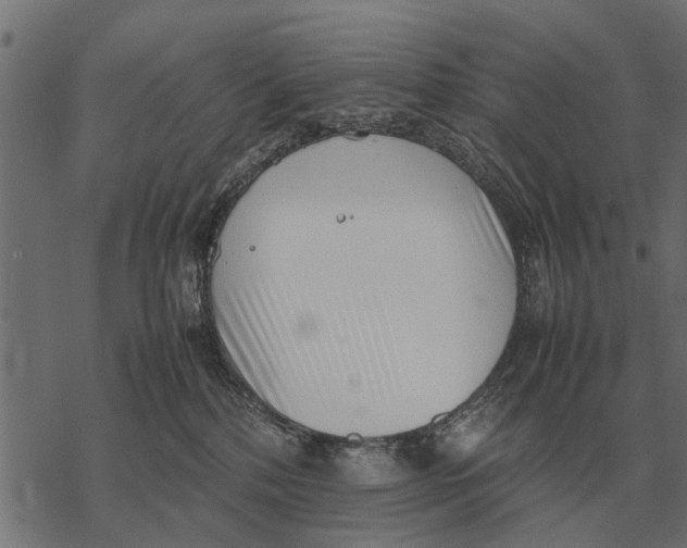 X0000067950232200605041834