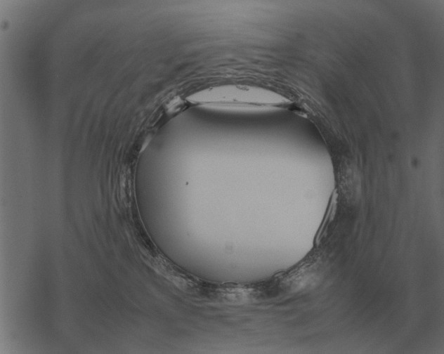 X0000067950233200605041834