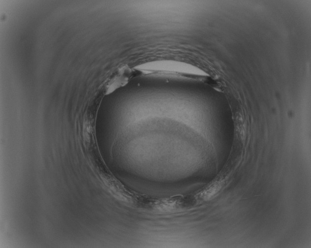 X0000067950235200605041834