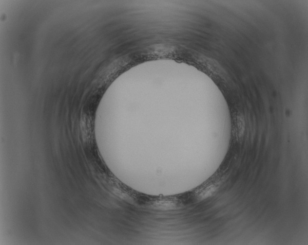 X0000067950236200605041834