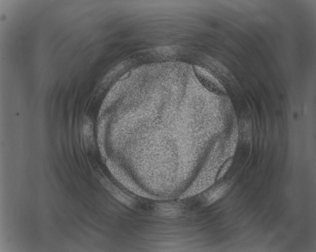 X0000067950238200605041834