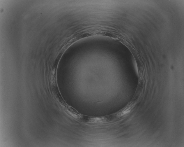 X0000067950239200605041834