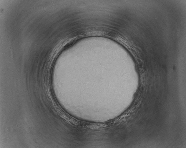 X0000067950241200605041833