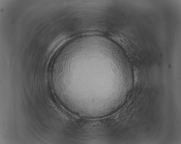 X0000067950243200605041833