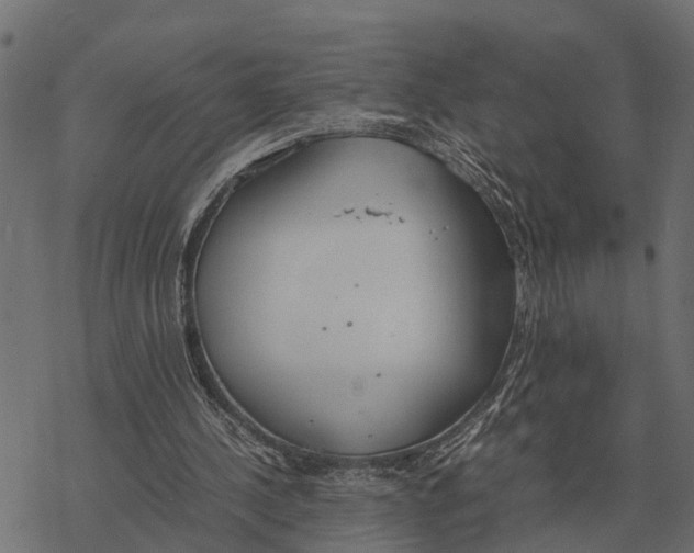 X0000067950244200605041833