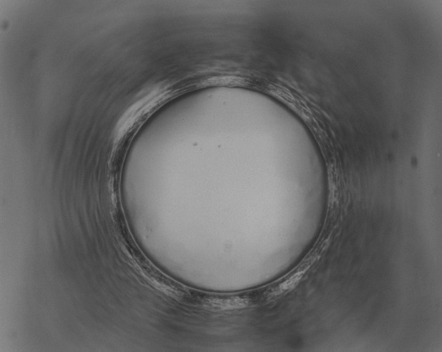 X0000067950245200605041833