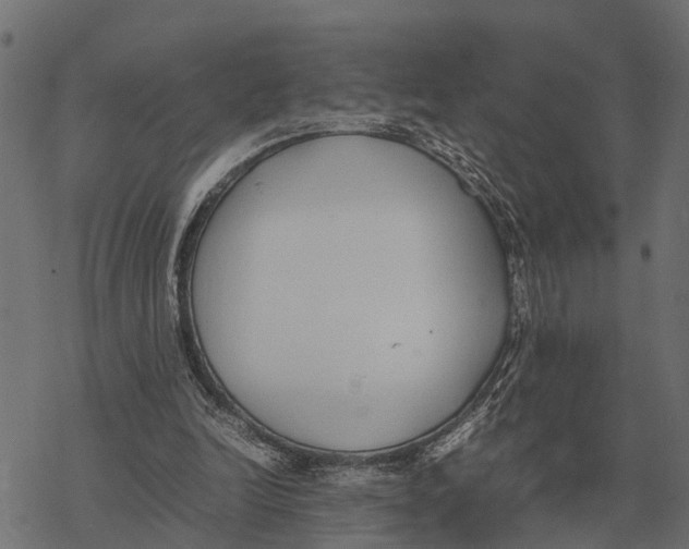 X0000067950246200605041833