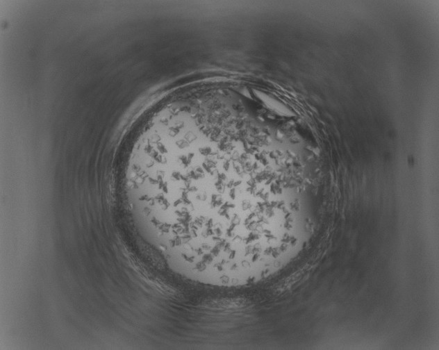 X0000067950247200605041833