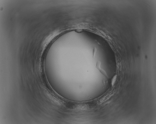 X0000067950248200605041833