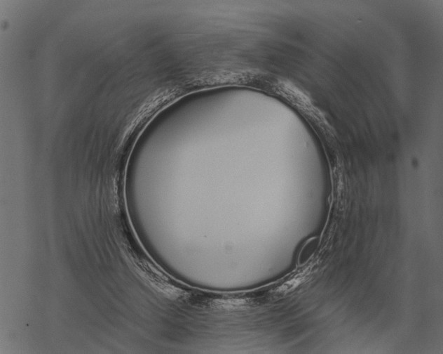 X0000067950250200605041833