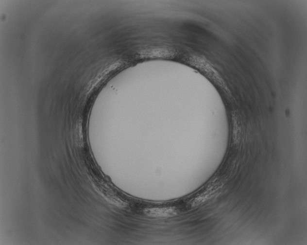 X0000067950251200605041833