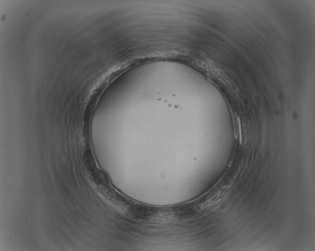 X0000067950252200605041833