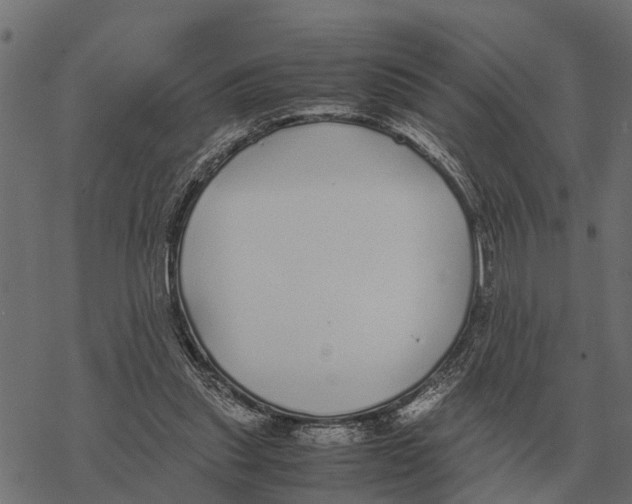 X0000067950253200605041833