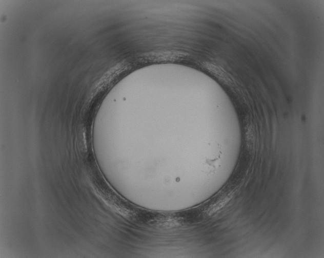 X0000067950254200605041833