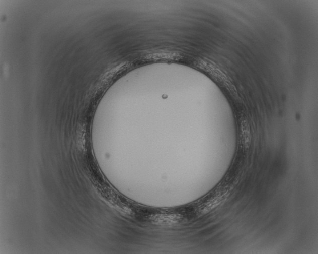 X0000067950255200605041833