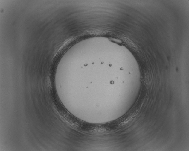 X0000067950256200605041833