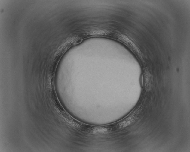 X0000067950257200605041833