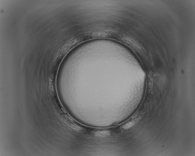 X0000067950258200605041833