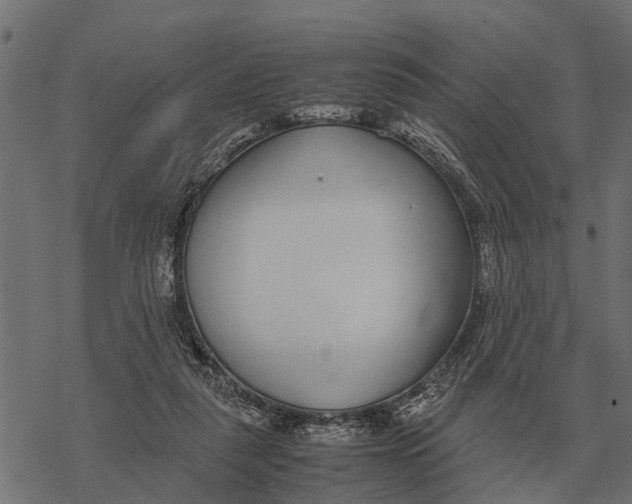 X0000067950259200605041833